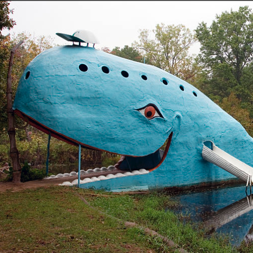 bluewhale@2x